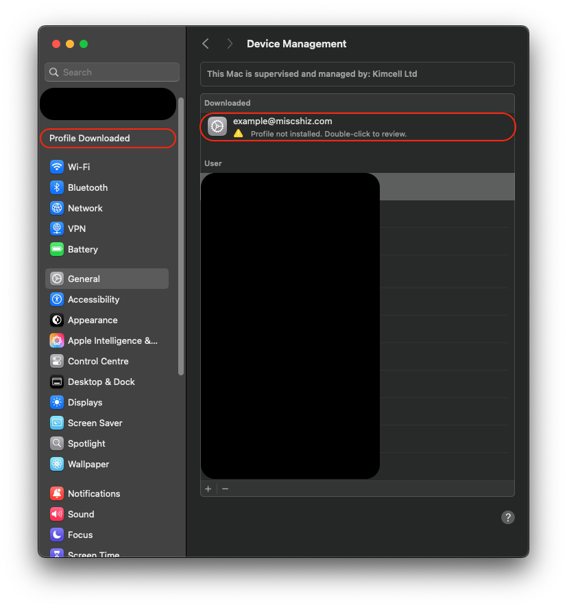 adding email profile to profile settings